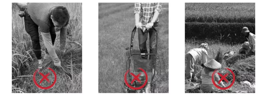 Disadvantages of traditional lawn mowing methods